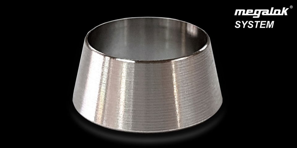 anilloanterior anillo anterior